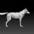 wolf55_2.jpg Wolf - worlf for unity3d - wolf for ue5 -3d wolf for game - wolf toy
