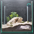 Colosseum-underwater-3d-printed-cave-full-view-by-Aquireef3D.png Fish and Reptile Grotto, Colosseum Aquarium & Terrarium Cave, Fish Tank Shelter, Critter Hide, Aquascaping Tool