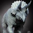 trike1.jpg Triceratops horridus V2