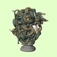 12.jpg Medusa Bust – The Gorgon Queen