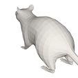10006.jpg Archivo 3D gratuito Rata・Objeto para descargar e imprimir en 3D