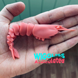 изображение_viber_2022-06-27_18-09-27-127.png Fichier STL WIGGLISS - Crevette / jouet articulé / impression modèle 3D / sla / pla / STL / OBJ・Modèle pour impression 3D à télécharger