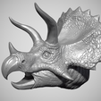 Triceratops-2.png Triceratops Head