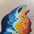 IMG20230702143925.jpg Caja de sombras de gato (A)