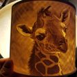 20190303_144957.jpg Lithophane giraffe