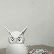 IMG_5015.jpg LED Owl, Lamp, LED Kit 001, Owllamp, Owl, Owl