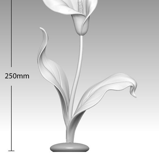 Calla Lily – 3D Printable Decorative Art– FDM & Resin Optimized (STL/OBJ)