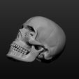 a3.jpg Skull