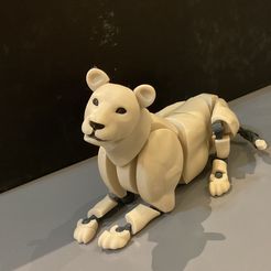 IMG_1195.jpg Lion Poseable Toy