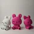 IMG20250619111240.jpg 🐰 Chibi Bunny Buddies - Modèles imprimés en 3D + Porte-clés