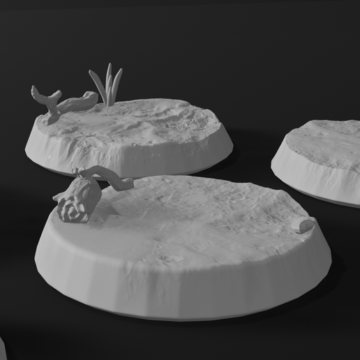 close.png 25mm Nature Bases