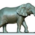 05.jpg Elephant