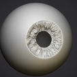 10.jpg Human eye