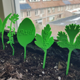 Capture d’écran 2018-04-25 à 11.39.28.png Plant label herbs
