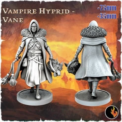 Vane_original.png 3D file Vane - Dark Fantasy Minis・3D printer model to download