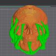 5.jpg scull