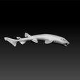 sharr2.jpg pyjama shark 3d model for 3d print