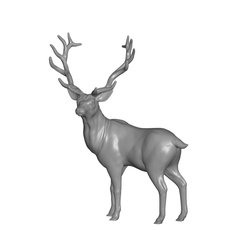 Stag.png Stag