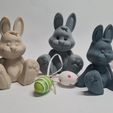 20240322_130803.jpg Cute Easter Bunny
