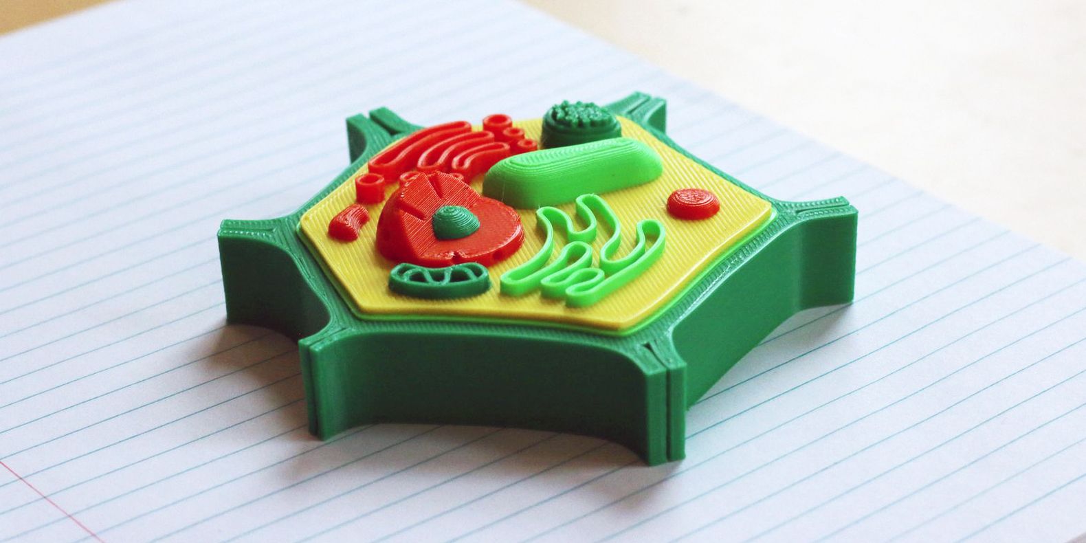Hier finden Sie eine Auswahl der besten biologiebezogenen 3D-Modelle, die Sie mit einem 3D-Drucker herstellen können