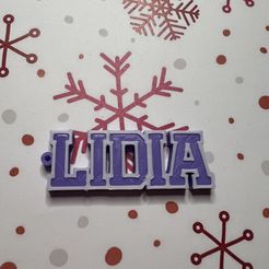 IMG_6912.jpeg keychain lidia