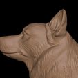 16.jpg Corgi