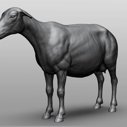 3D file Domestic animal collection - 9 animals 🐎 ・Design to download ...