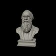 17.jpg Charles Darwin portrait sculpture 3D print model