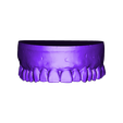 u.stl Digital Single Jaw Full Denture