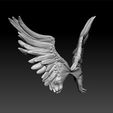 wings2.jpg Wings - wings for game - wings for 3d print - wings high poly
