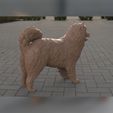 07.jpg Samoyed model 3D print model