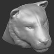 15.jpg Tiger head for 3D printing