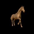 24.jpg American Quarter Horse model 3D print model