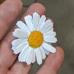 daisy1.jpg Archivo OBJ Daisy realista para el cabello o el adorno・Diseño imprimible en 3D para descargar