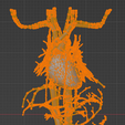 8.png 3D Model of Heart and Cardiovascular System