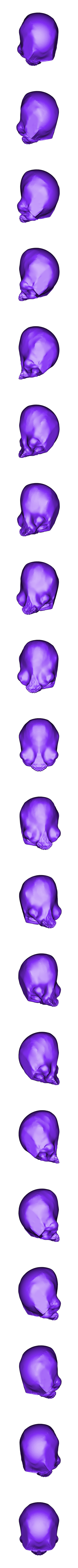 Skull_Scar.stl CALAVERA - ESCARABAJO