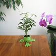 Capture_d_e_cran_2016-06-22_a__09.47.39.png Free STL file 3 small Plant Pots (short, medium & long)・Design to download and 3D print