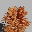 Tree_02.png Trees 3D model
