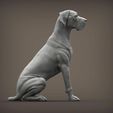 german-dog11.jpg German Dog 3D print model