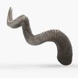 Product_Image-0004.jpg Large Twisted Horns | Bianca