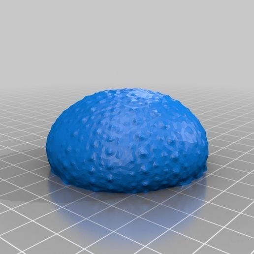 Sea_Urchin.jpg Sea Urchin