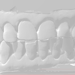 jm.png STL file Male Teeth・Design to download and 3D print