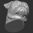 22.jpg Pug head for 3D printing