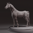 Preview2.png Horse