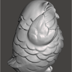 buho-modelado-perfil.png Owl