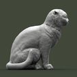 scottish-fold-cat-3d-model-5312ac0461.jpg Scottish fold cat 3D print model