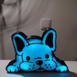 olx_image_2022-03-20_19-09-52.jpg french bulldog nightlight leds