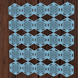 Picture2.png Biohacking carpet