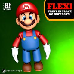 20231116_094503.jpg FLEXI PRINT-IN-PLACE - SUPER MARIO