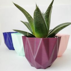 IMG_20190609_134519_571.jpg STL file Low poly pot / Plant cactus・3D printing design to download